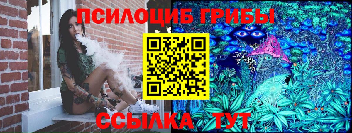 Галлюциногенные грибы мицелий Мурино