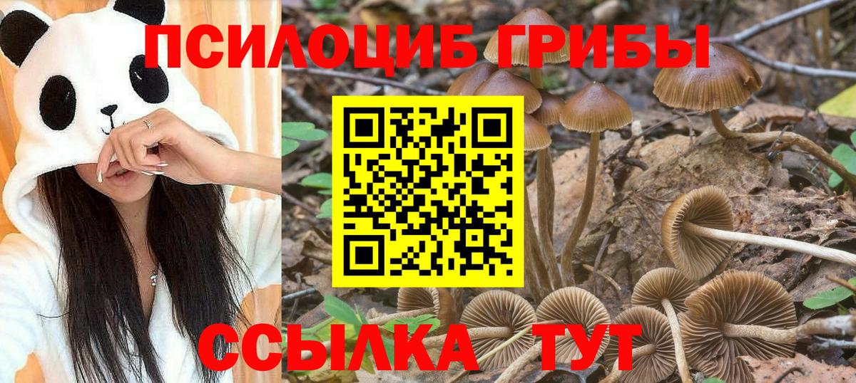 Псилоцибиновые грибы ЛСД  Псилоцибиновые грибы мицелий  Вход с VPN  Мурино 
